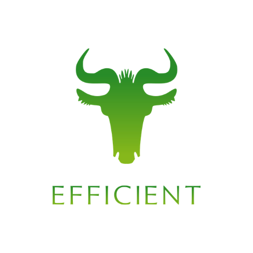 ロゴ：株式会社エフィシエント